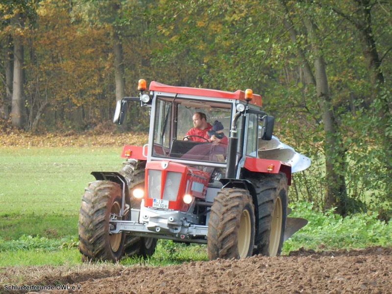 Kleiner feldtag und martinimarkt, Bild 25