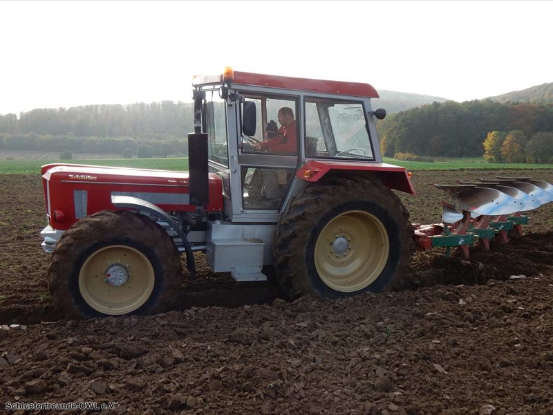 Kleiner feldtag und martinimarkt, Bild 26