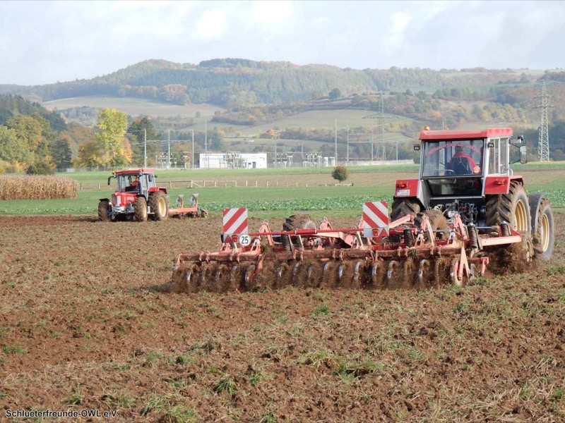 Kleiner feldtag und martinimarkt, Bild 29