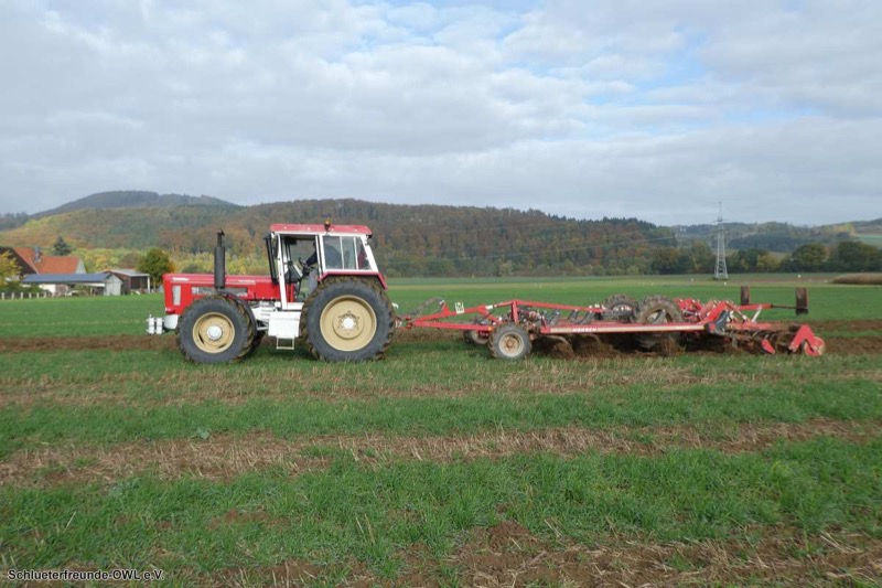 Kleiner feldtag und martinimarkt, Bild 33