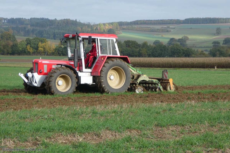 Kleiner feldtag und martinimarkt, Bild 34