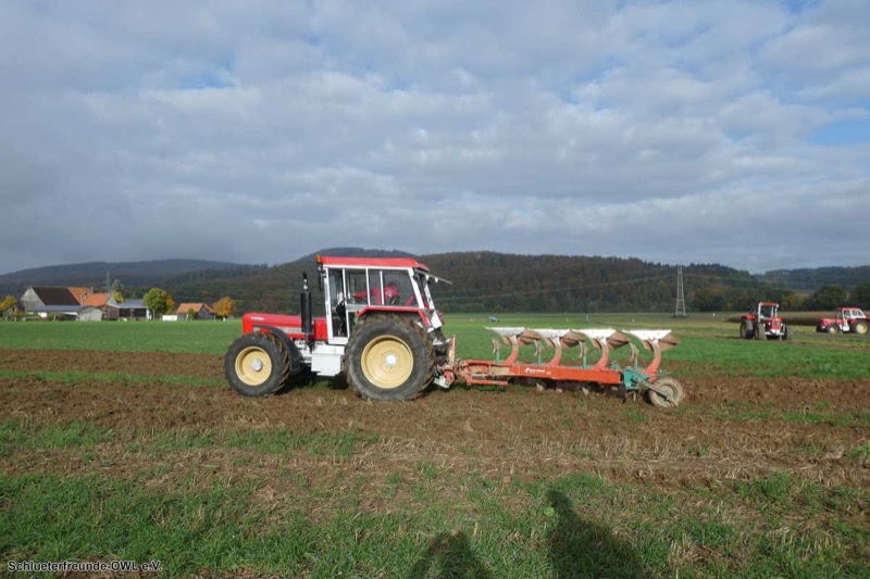 Kleiner feldtag und martinimarkt, Bild 35