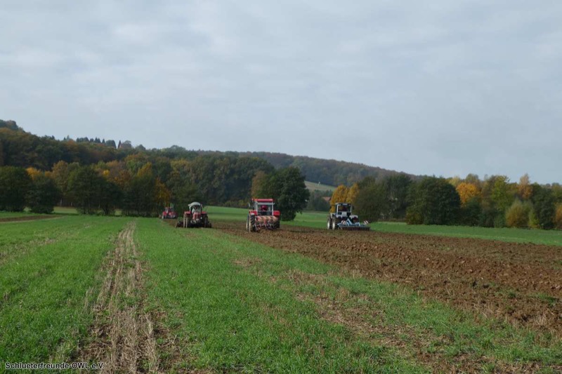 Kleiner feldtag und martinimarkt, Bild 36