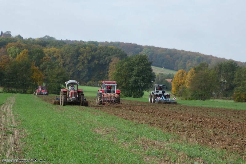 Kleiner feldtag und martinimarkt, Bild 37