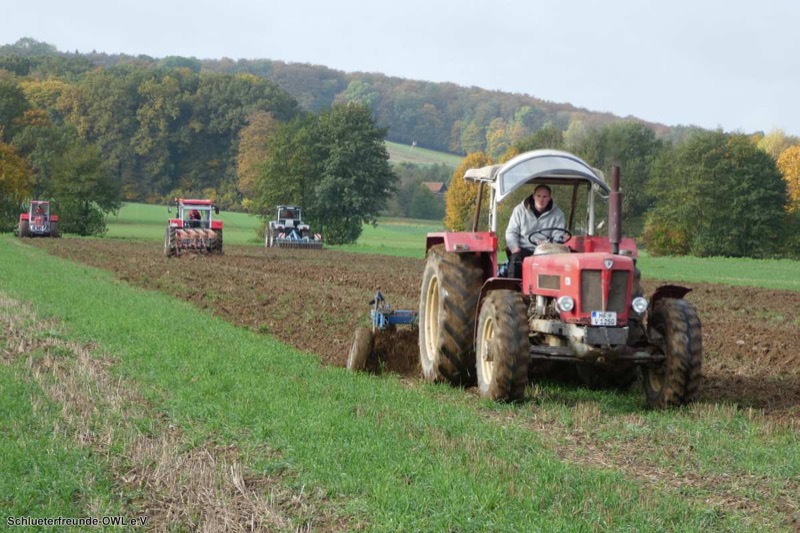 Kleiner feldtag und martinimarkt, Bild 38