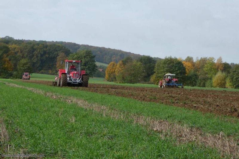 Kleiner feldtag und martinimarkt, Bild 39