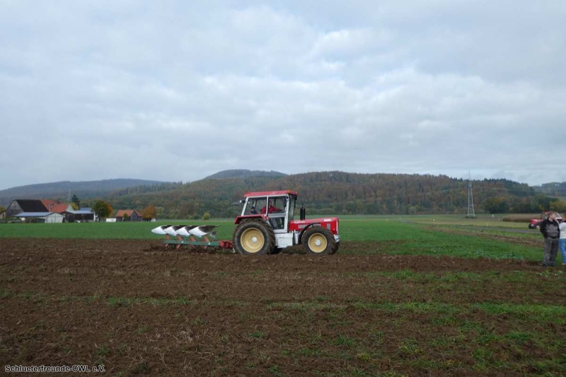 Kleiner feldtag und martinimarkt, Bild 40