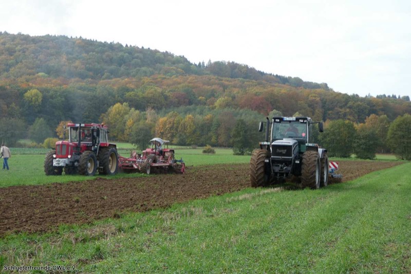 Kleiner feldtag und martinimarkt, Bild 41