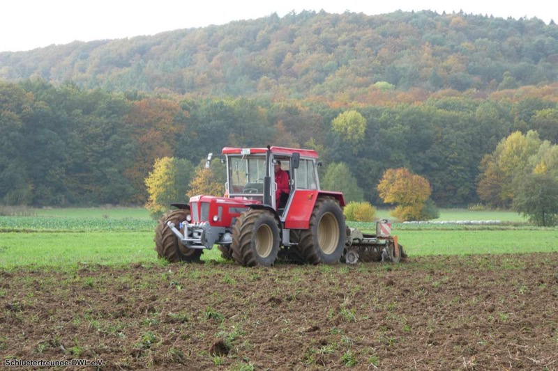 Kleiner feldtag und martinimarkt, Bild 42