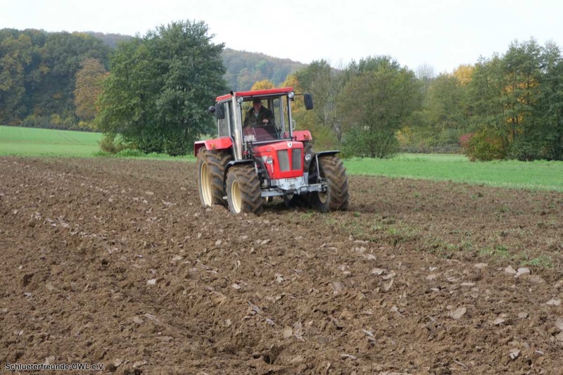 Kleiner feldtag und martinimarkt, Bild 43