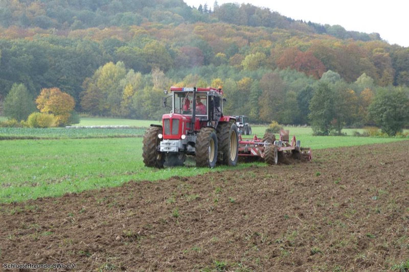 Kleiner feldtag und martinimarkt, Bild 47