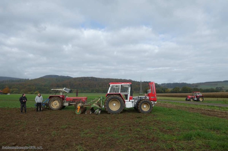 Kleiner feldtag und martinimarkt, Bild 48