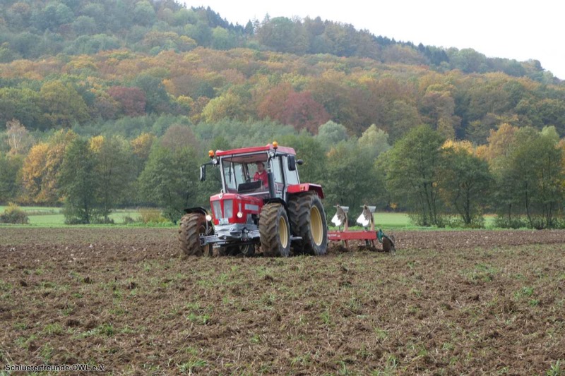 Kleiner feldtag und martinimarkt, Bild 49