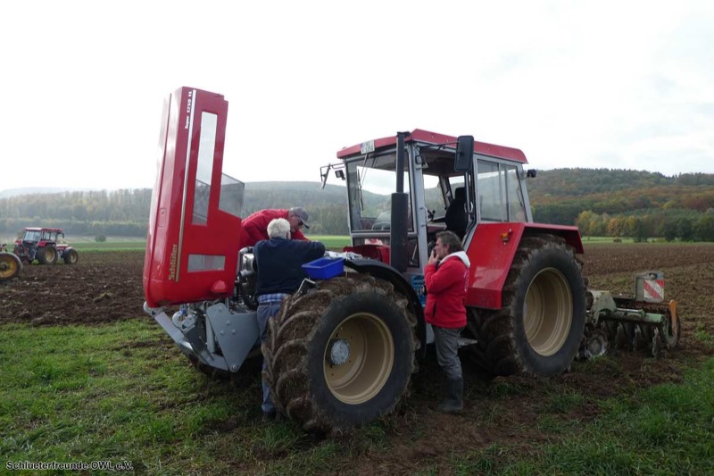 Kleiner feldtag und martinimarkt, Bild 51