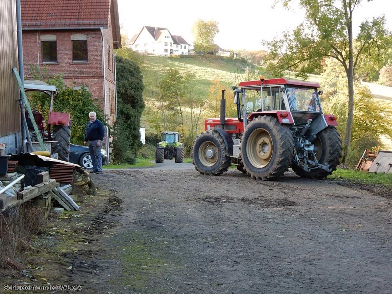 Kleiner feldtag und martinimarkt, Bild 54