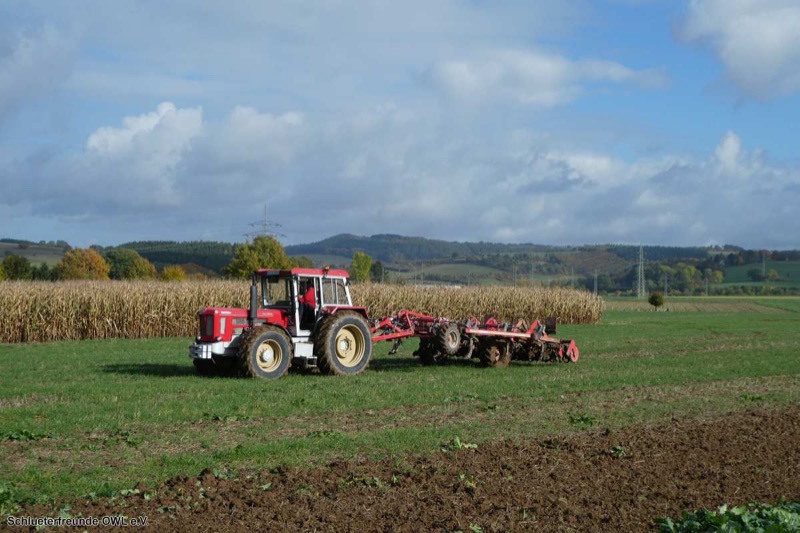 Kleiner feldtag und martinimarkt, Bild 55