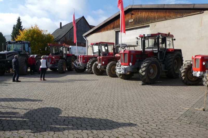 Kleiner feldtag und martinimarkt, Bild 81