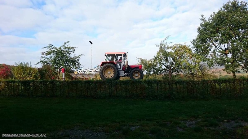 Kleiner feldtag und martinimarkt, Bild 105