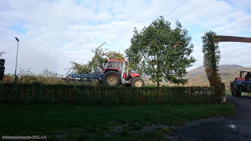 Kleiner feldtag und martinimarkt, Bild 106