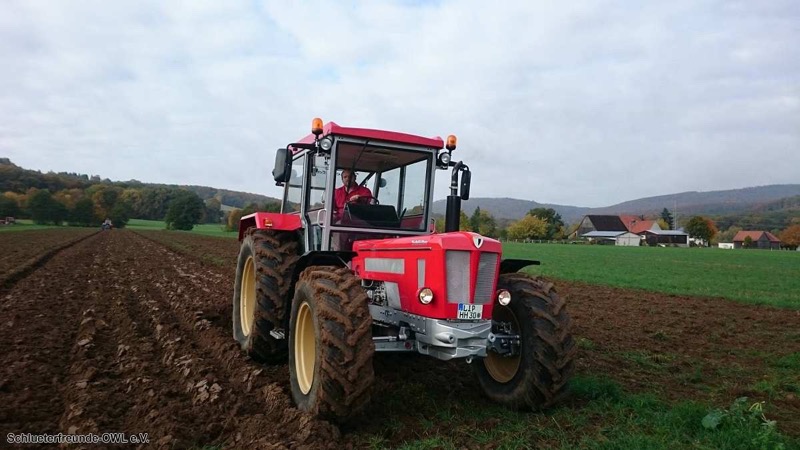 Kleiner feldtag und martinimarkt, Bild 108