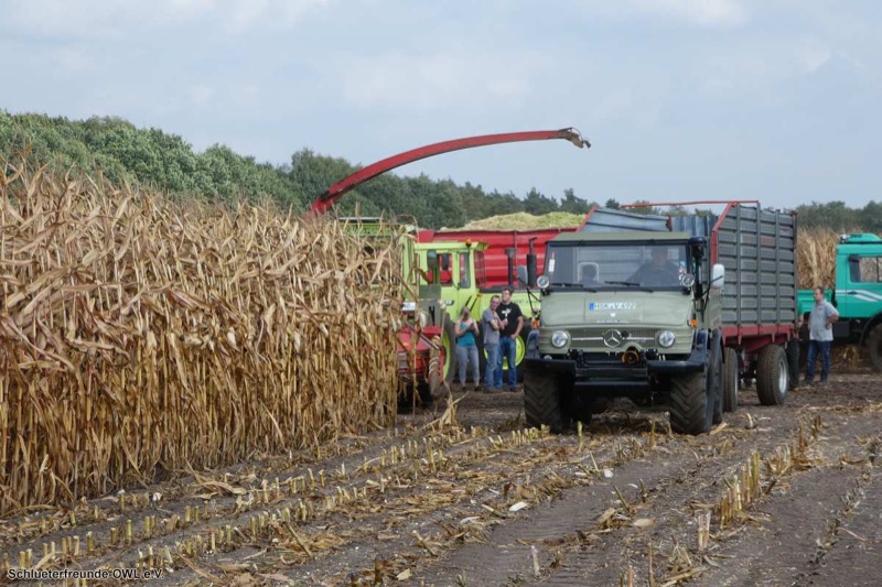 MB-Trac Treffen, Bild 44