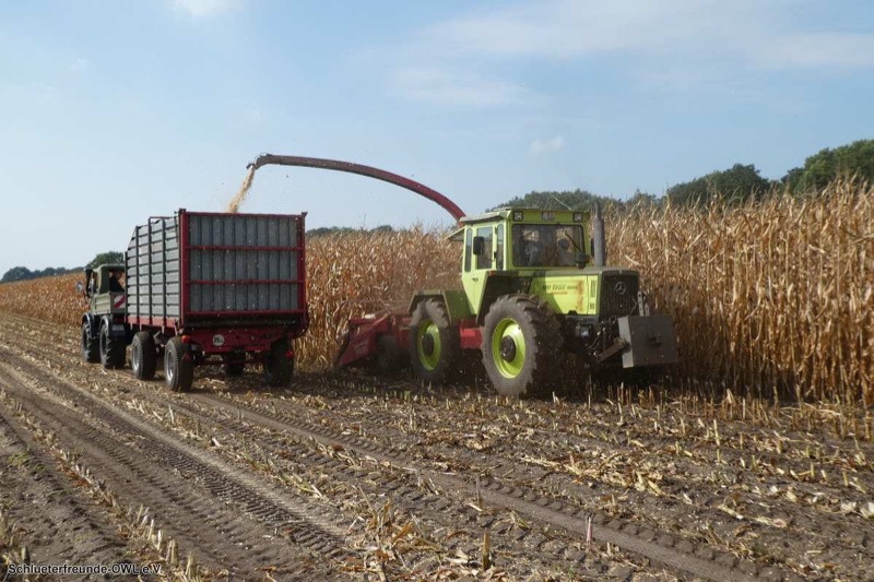 MB-Trac Treffen, Bild 46