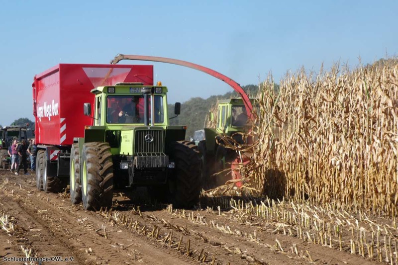 MB-Trac Treffen, Bild 103