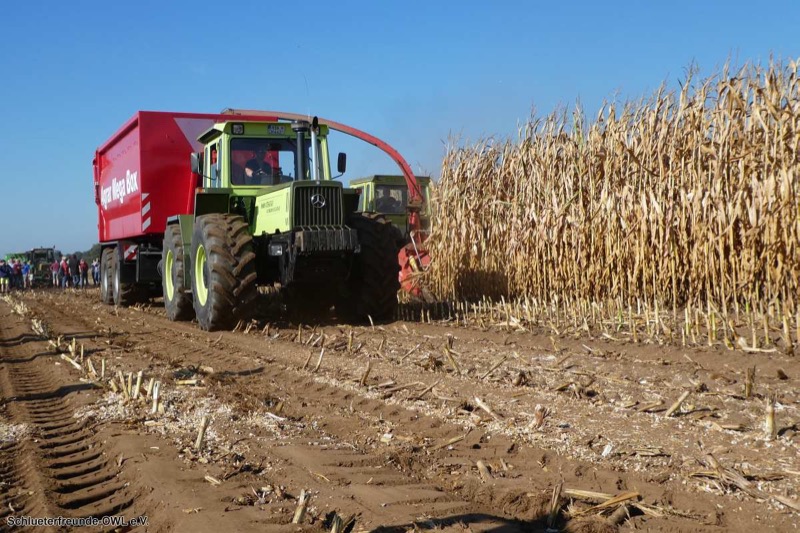 MB-Trac Treffen, Bild 104