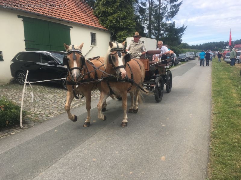 Melle Buer, Bild 22