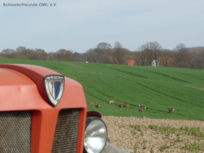 Schlüter Super 1250 VL, Bild 8