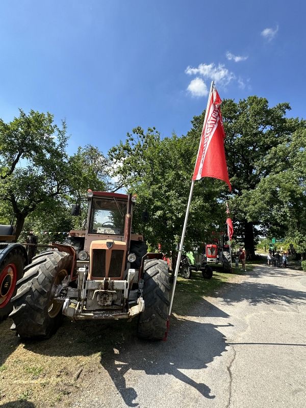 Sommerfest auf dem Hof Moerkerk am 25. Juni 2023, Bild 2