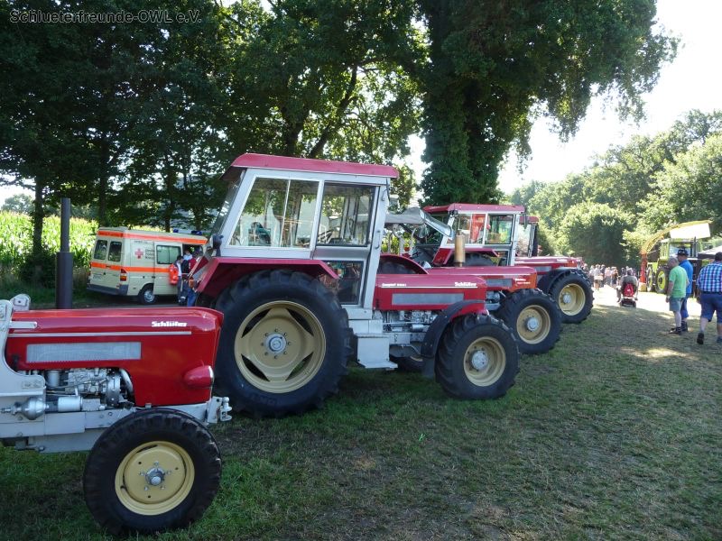 Nordhorn, Bild 33