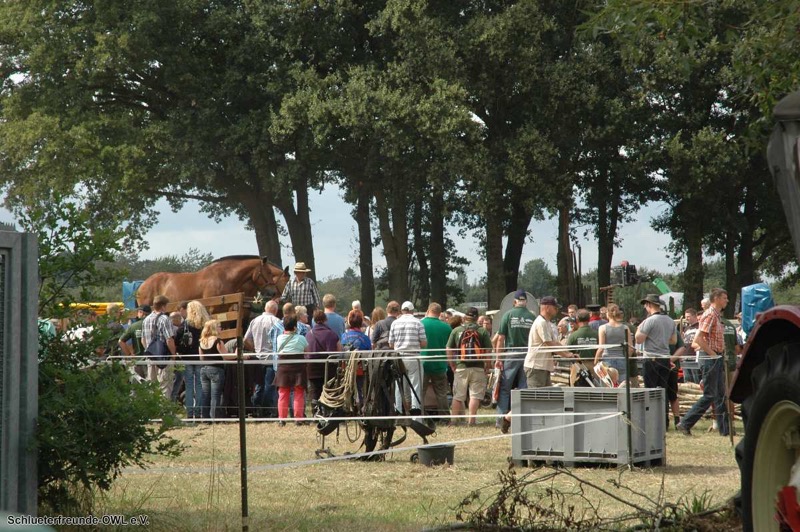 Nordhorn, Bild 33