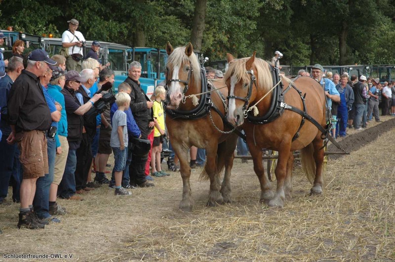 Nordhorn, Bild 45
