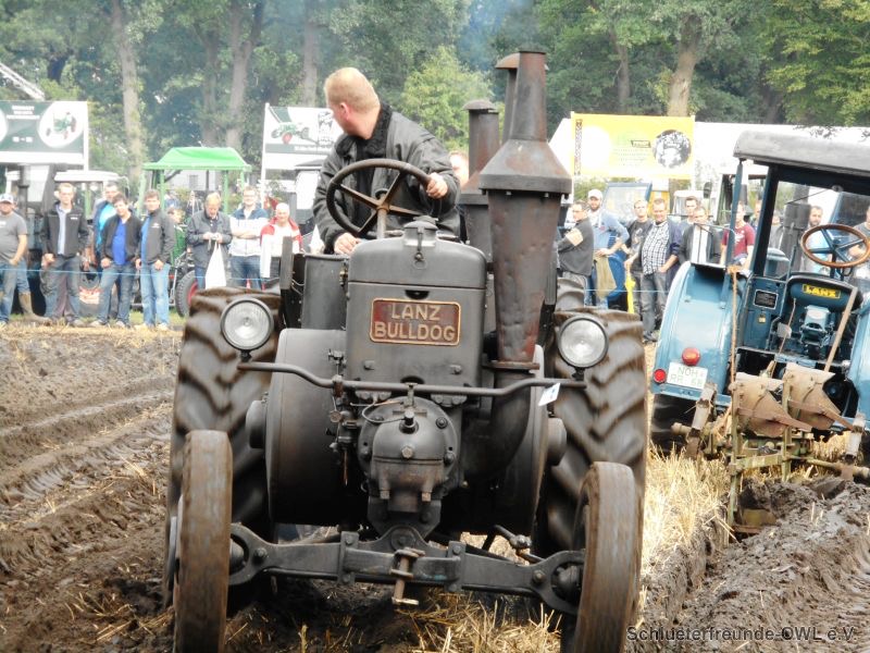 Nordhorn, Bild 50