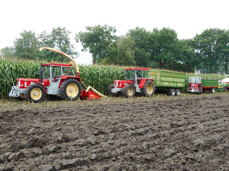 Nordhorn, Bild 51
