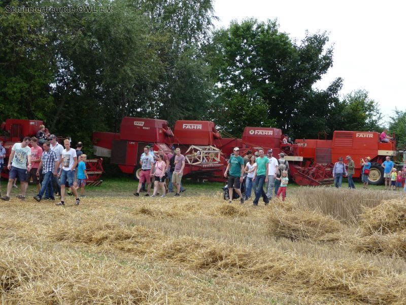Nordhorn, Bild 80