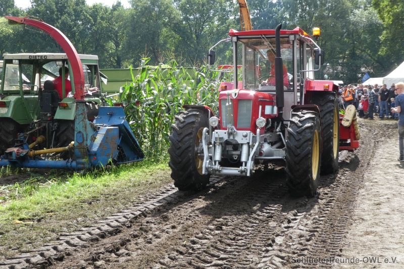 Nordhorn, Bild 109