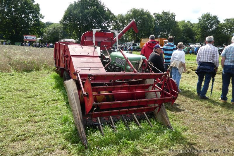 Nordhorn, Bild 116