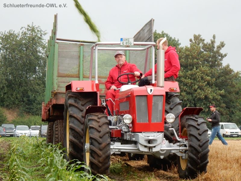 Nordhorn, Bild 77