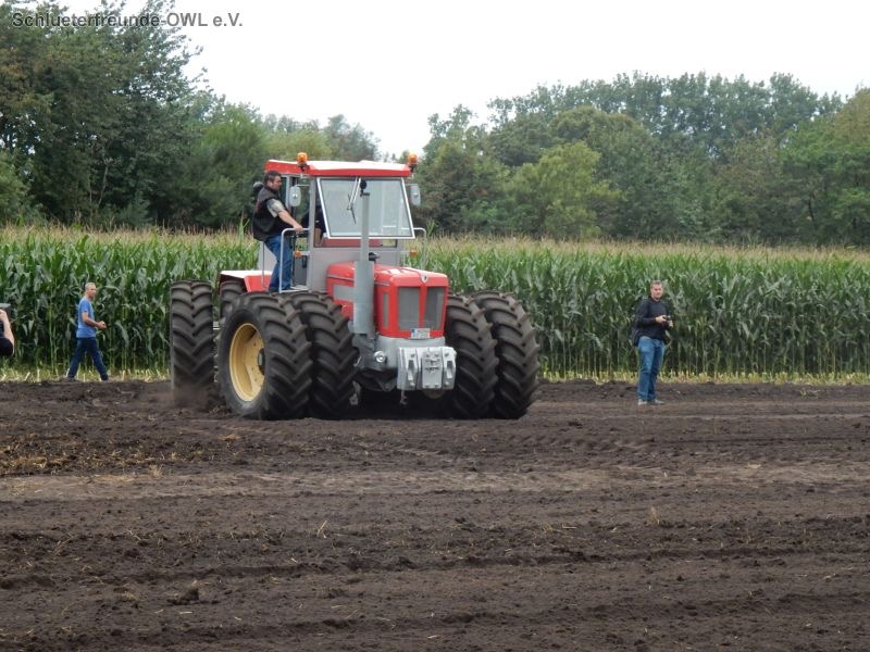 Nordhorn, Bild 110