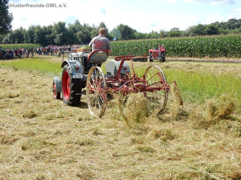 Nordhorn, Bild 137