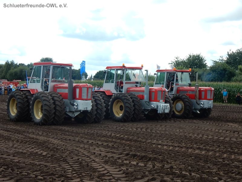 Nordhorn, Bild 147