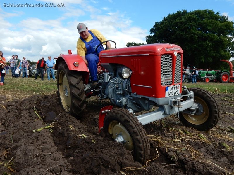Nordhorn, Bild 158
