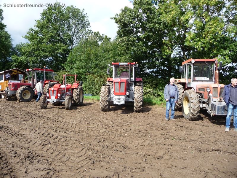Bad Oeynhausen, Bild 2