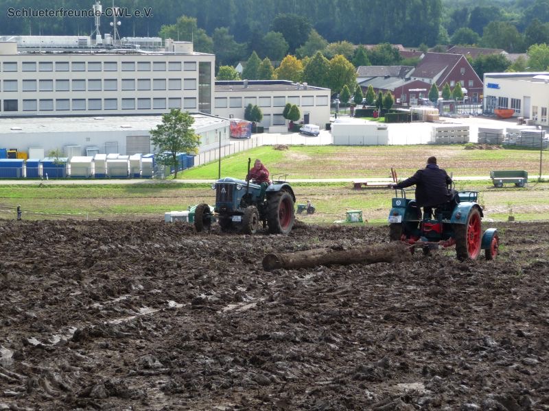 Bad Oeynhausen, Bild 4
