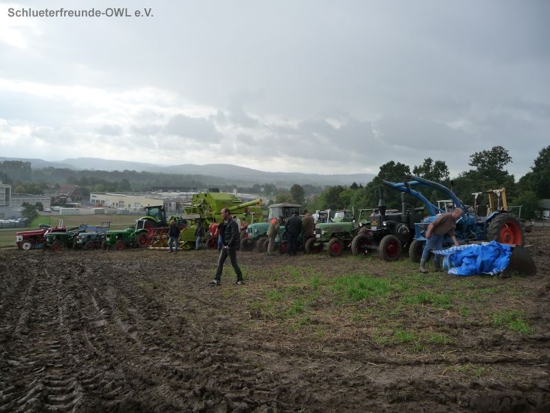 Bad Oeynhausen, Bild 8