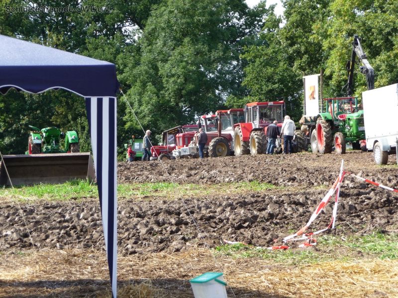 Bad Oeynhausen, Bild 10