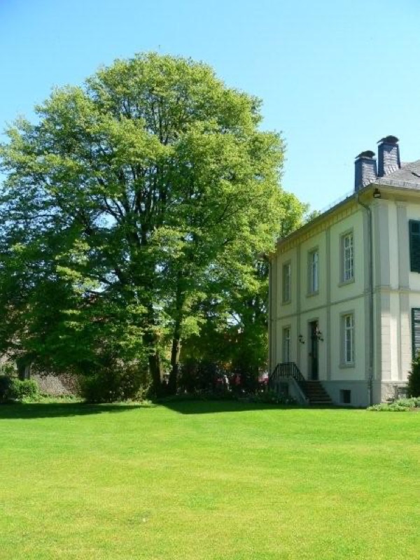 Rittergut Hornoldendorf, Bild 91