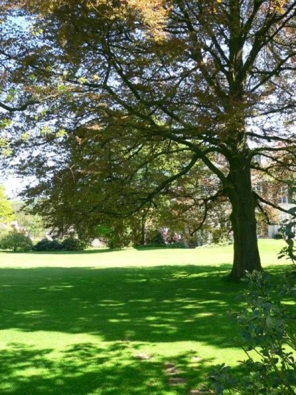 Rittergut Hornoldendorf, Bild 96